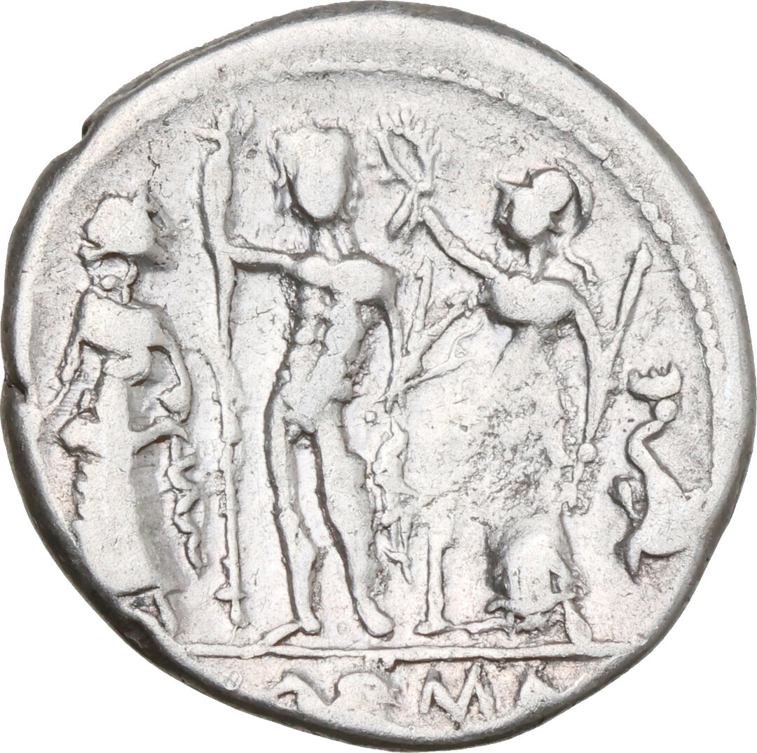 Rovescio moneta