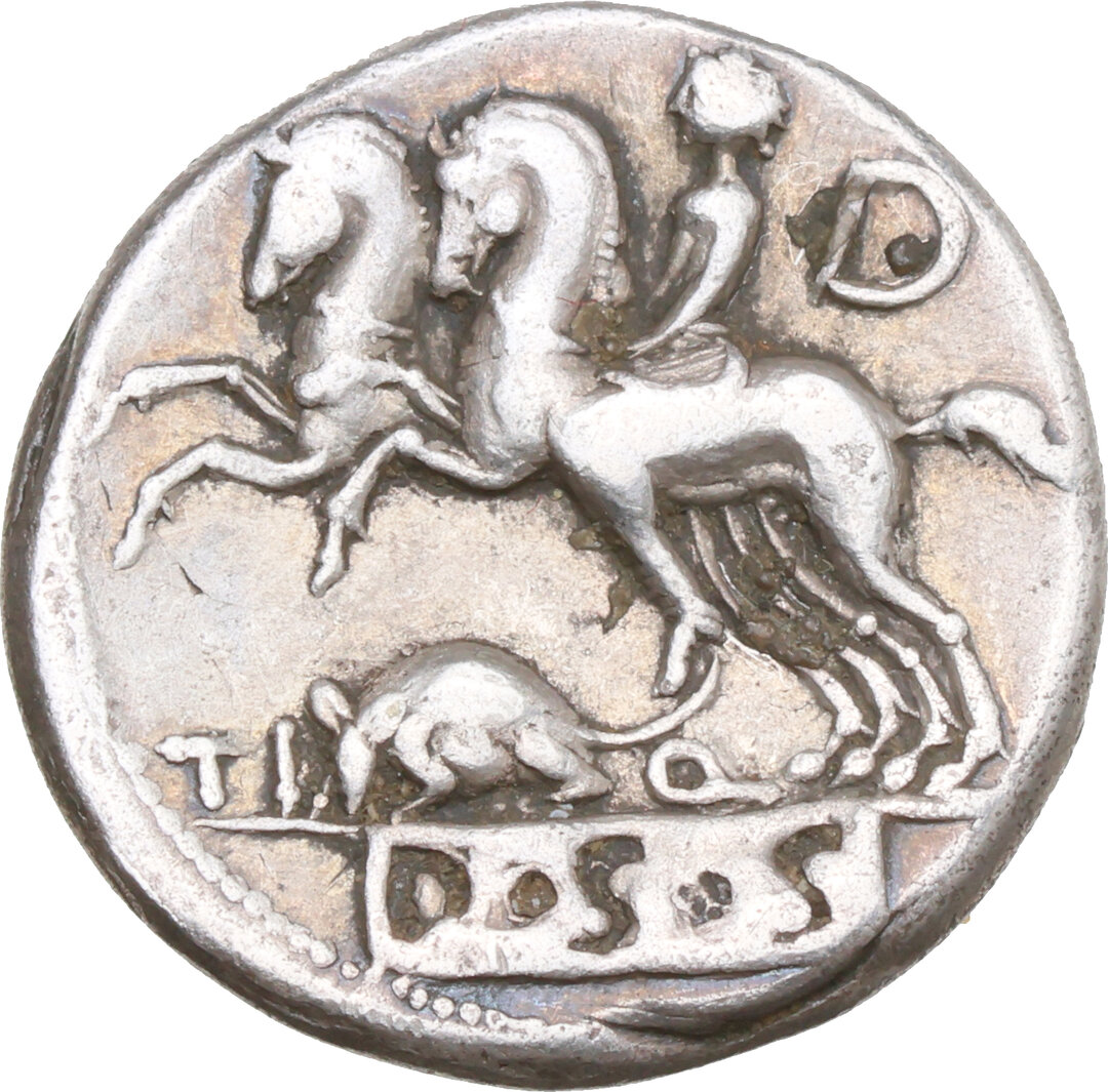Rovescio moneta