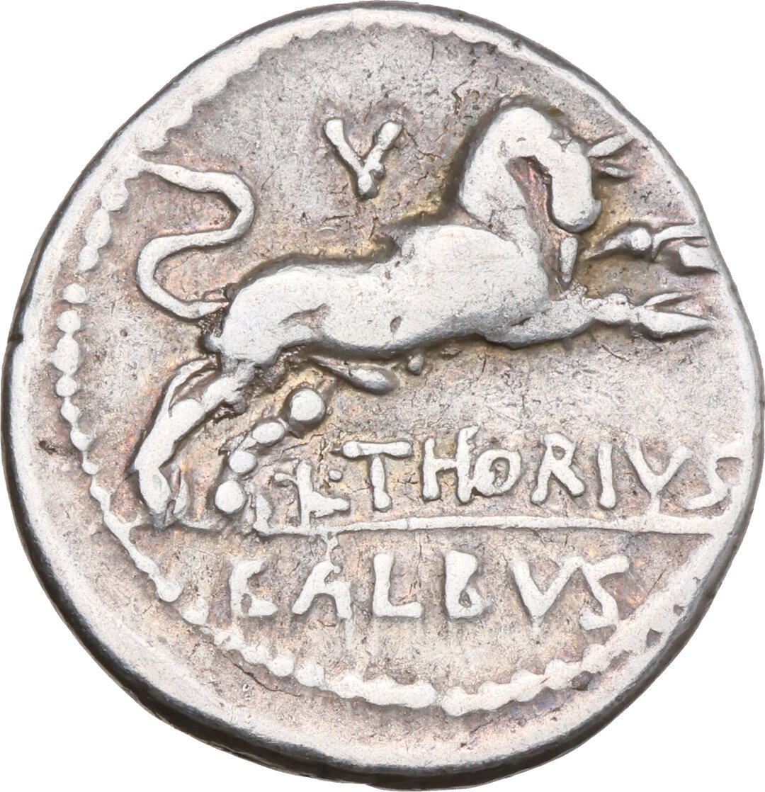 Rovescio moneta