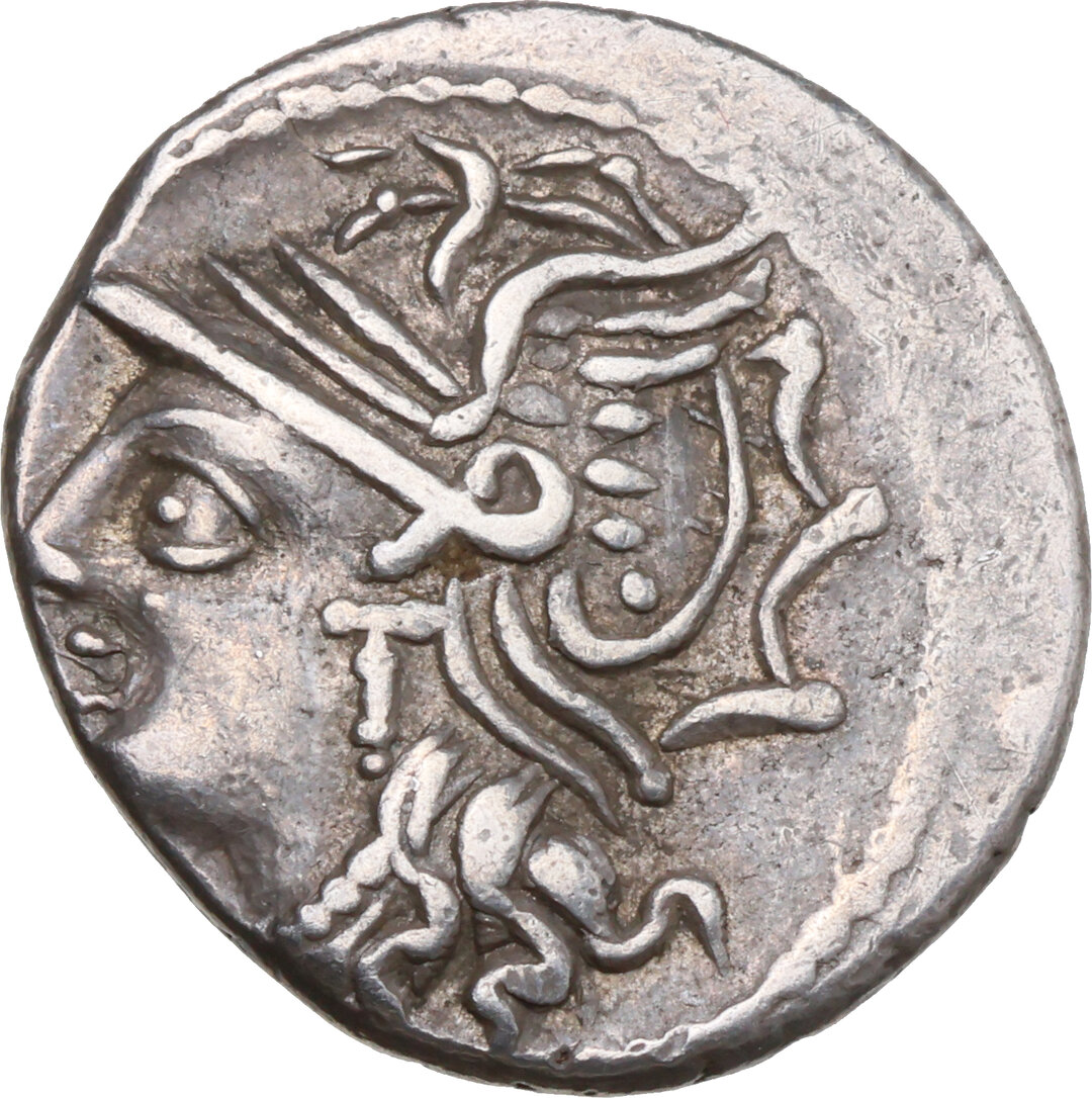 Dritto moneta