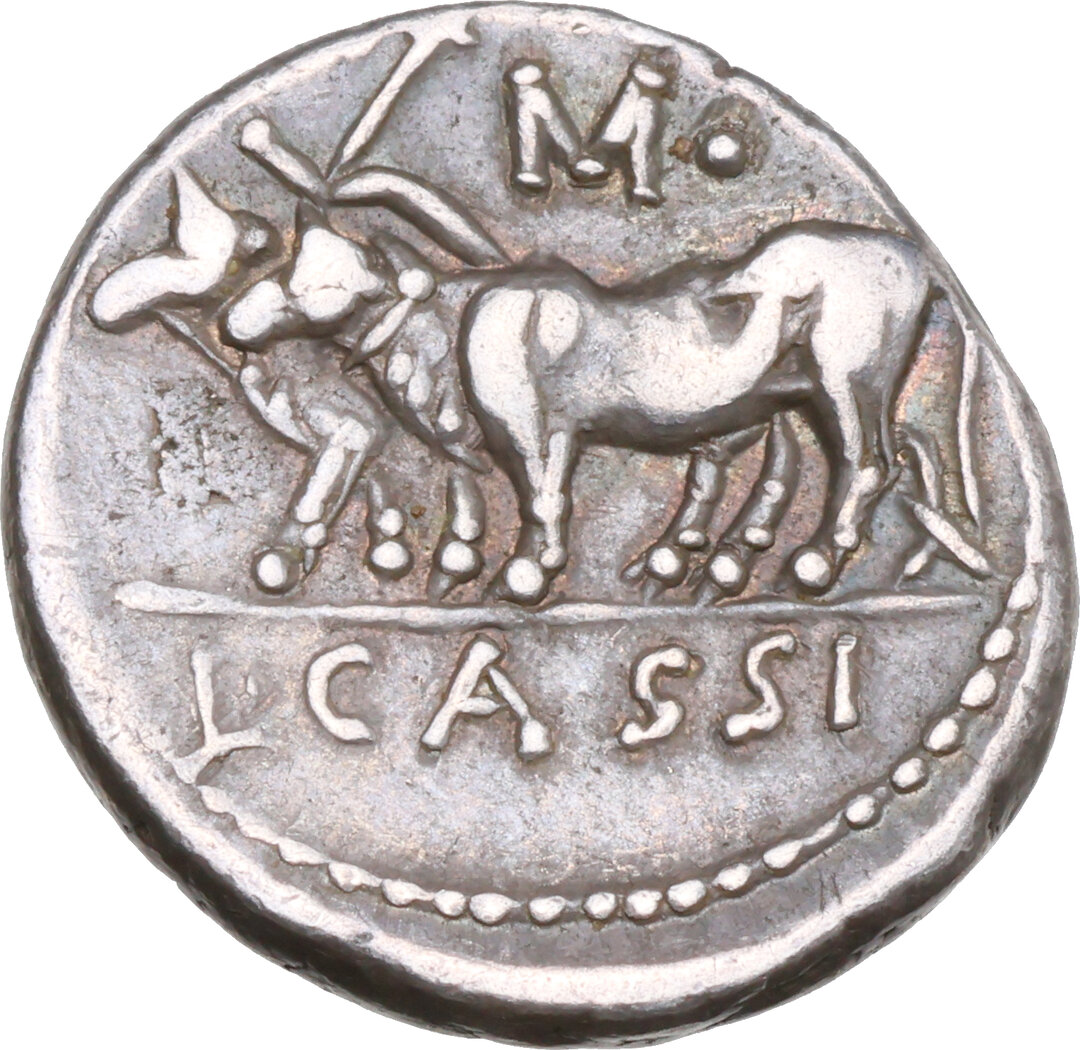Rovescio moneta