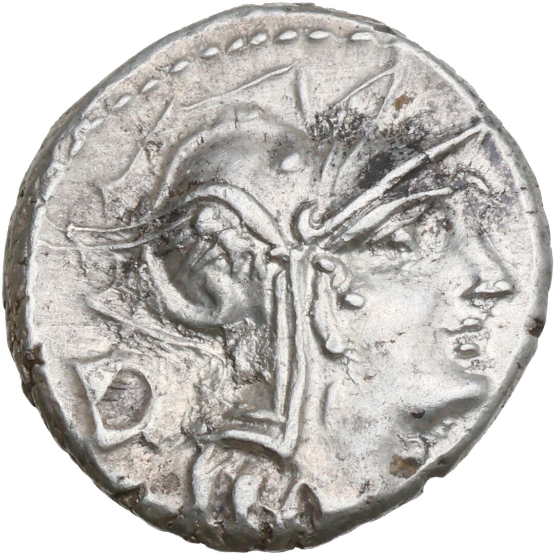 Dritto moneta