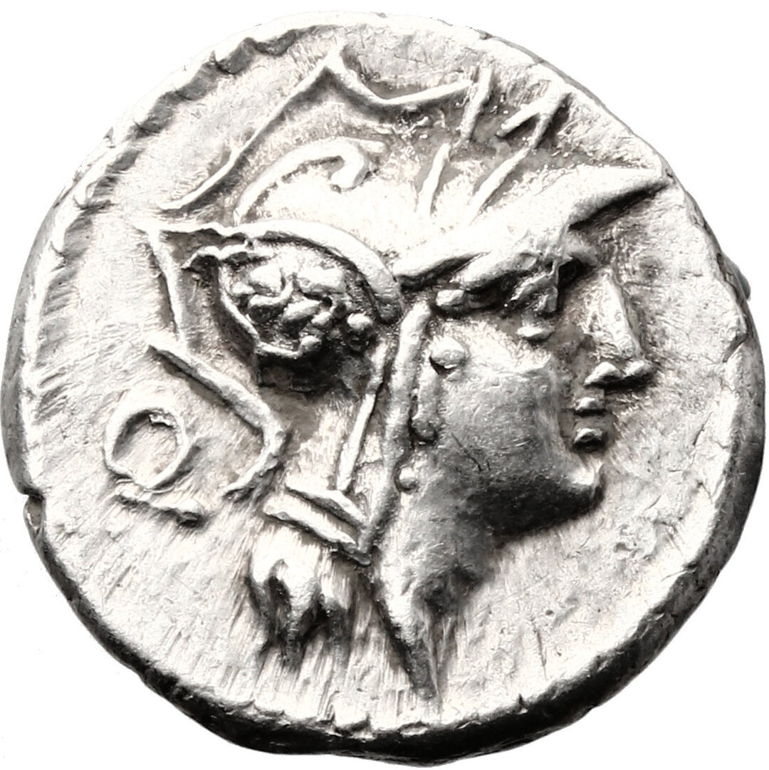 Dritto moneta