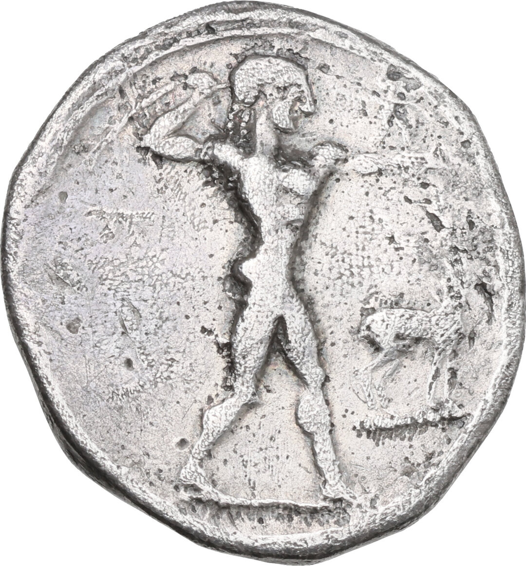 Dritto moneta