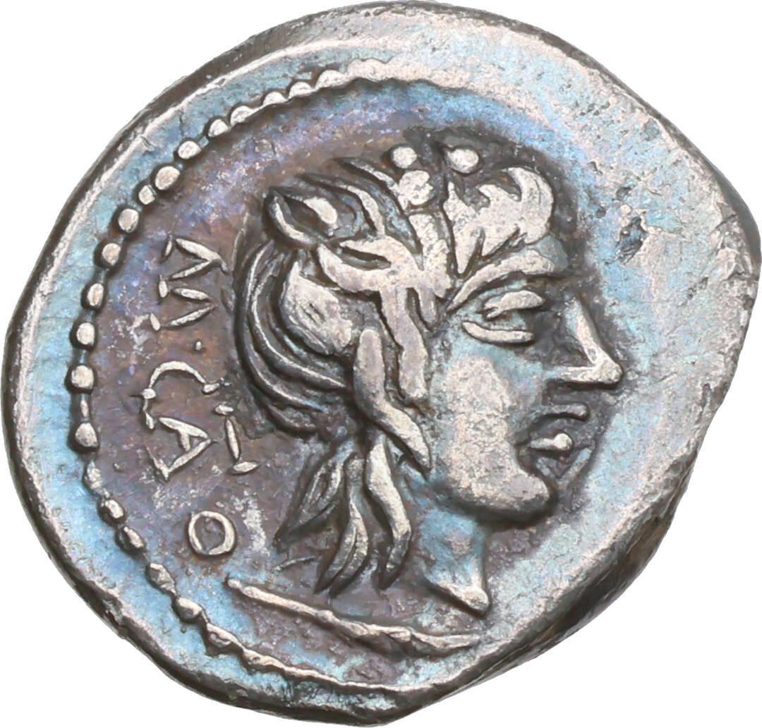 Dritto moneta