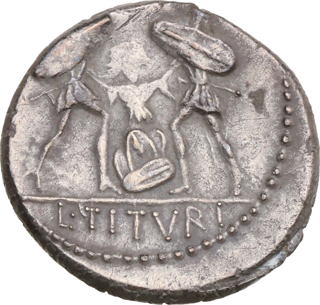 Rovescio moneta