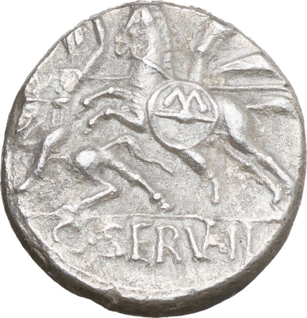 Rovescio moneta
