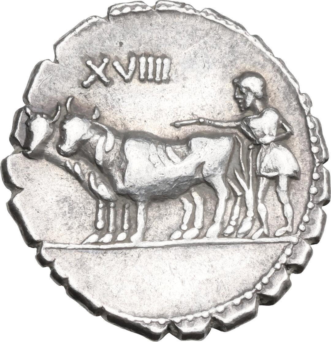 Rovescio moneta