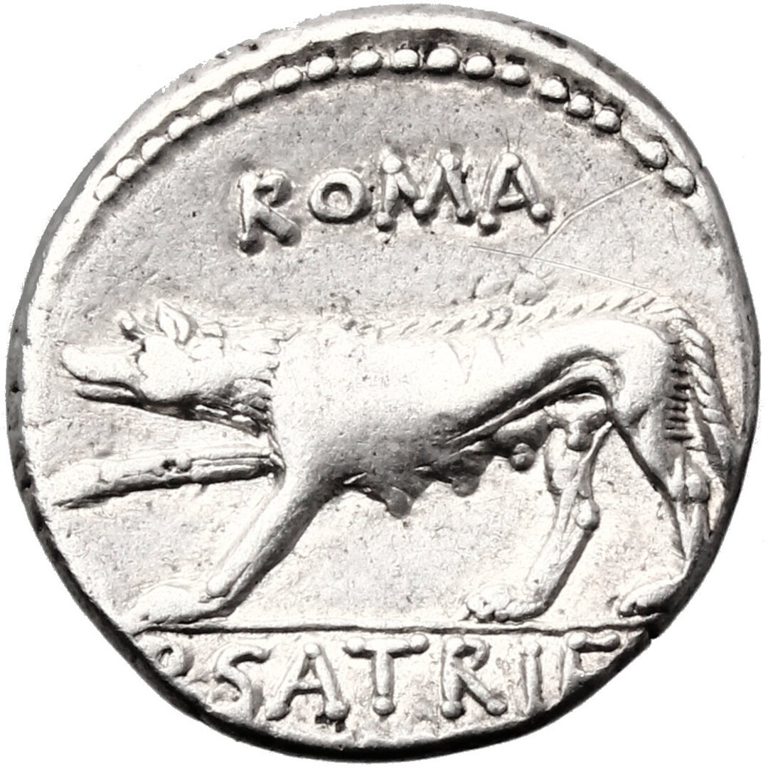 Rovescio moneta