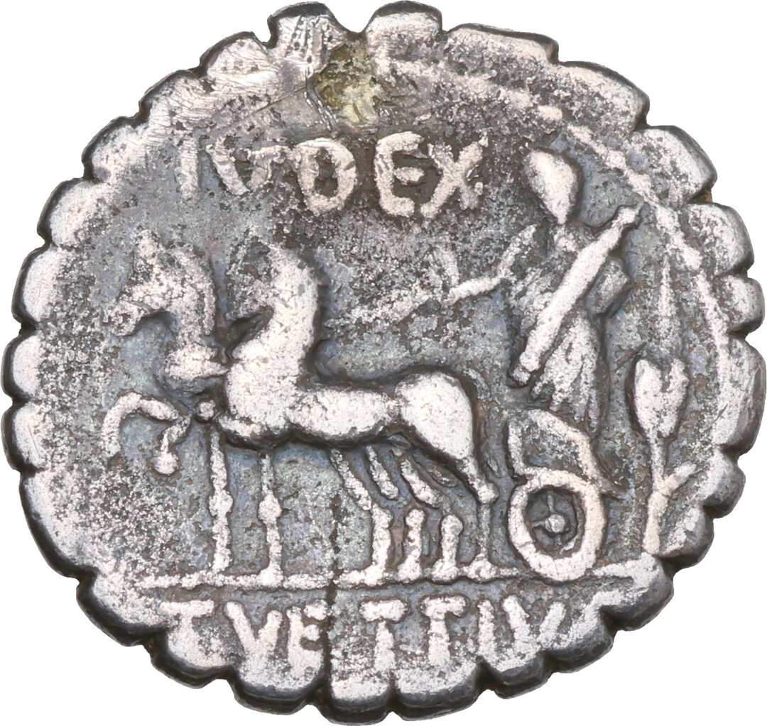 Rovescio moneta