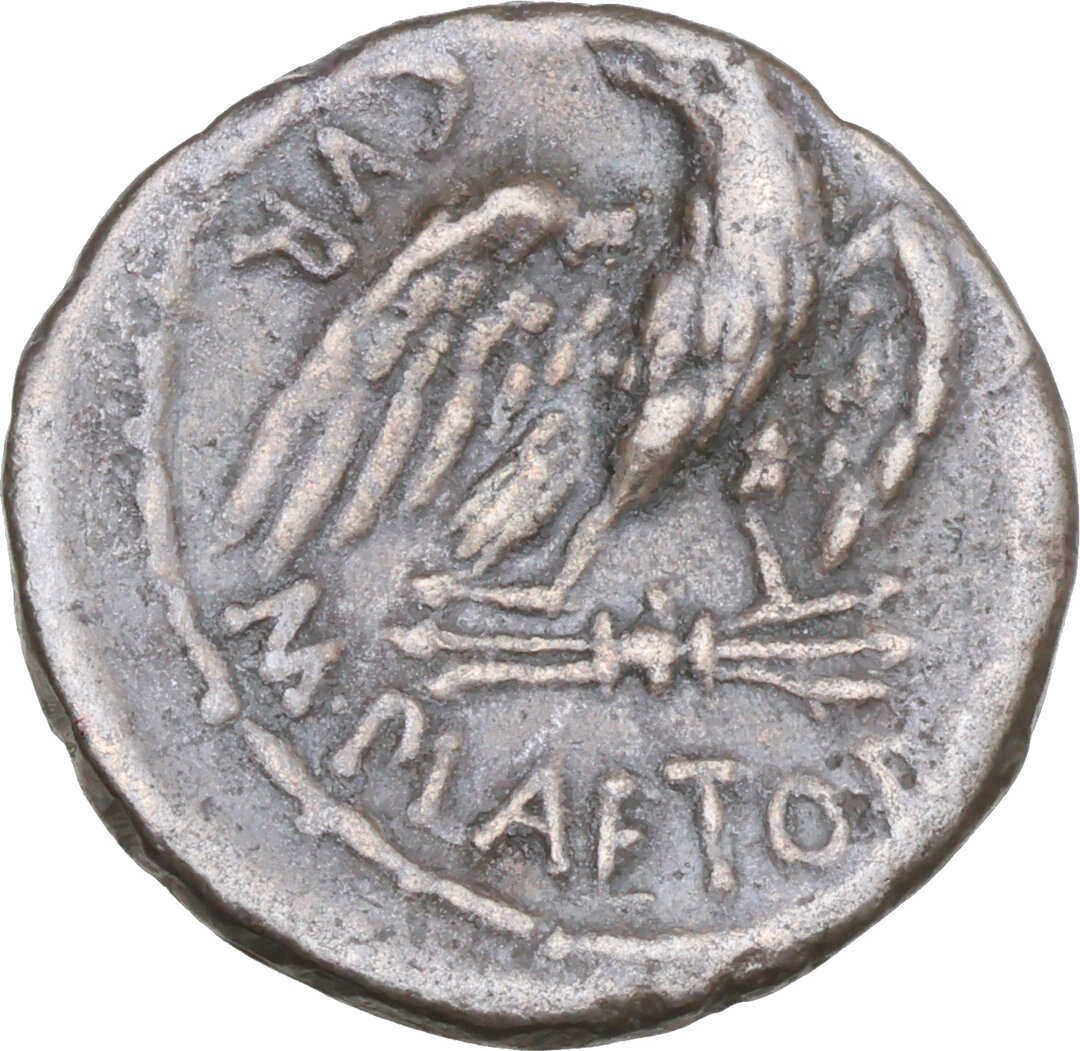 Rovescio moneta