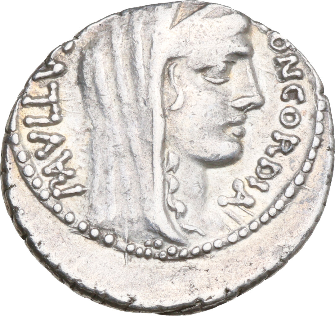 Dritto moneta