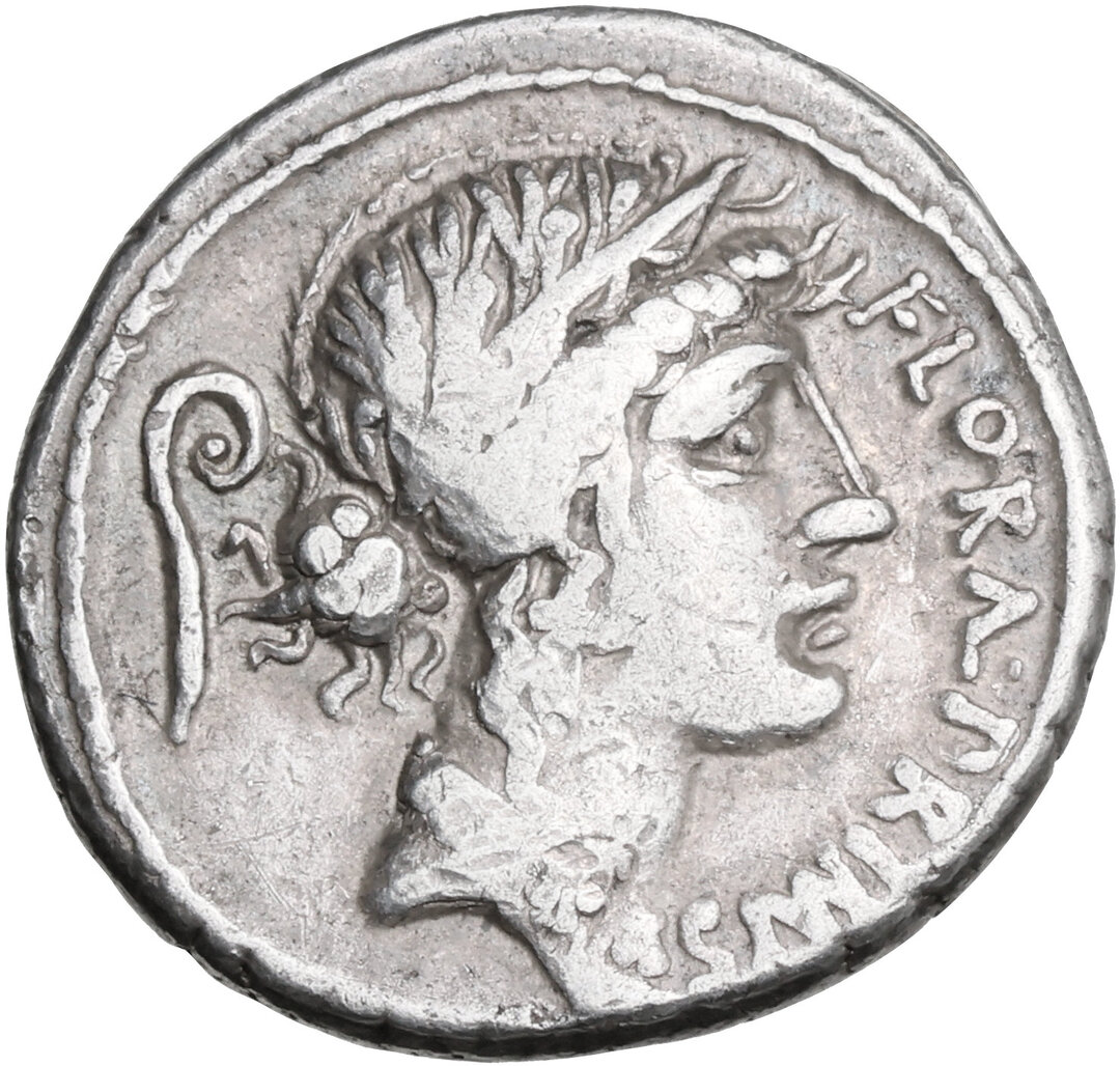 Dritto moneta