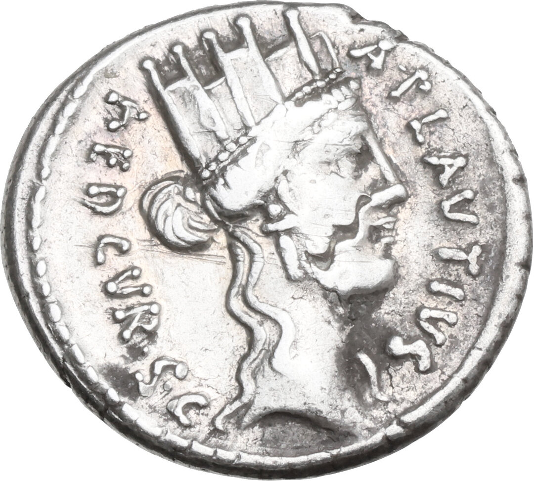 Dritto moneta