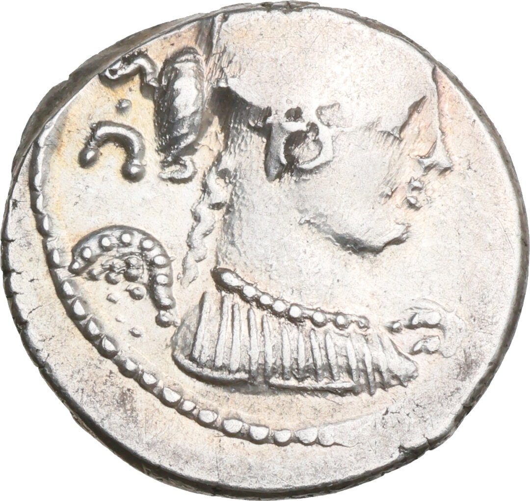 Dritto moneta
