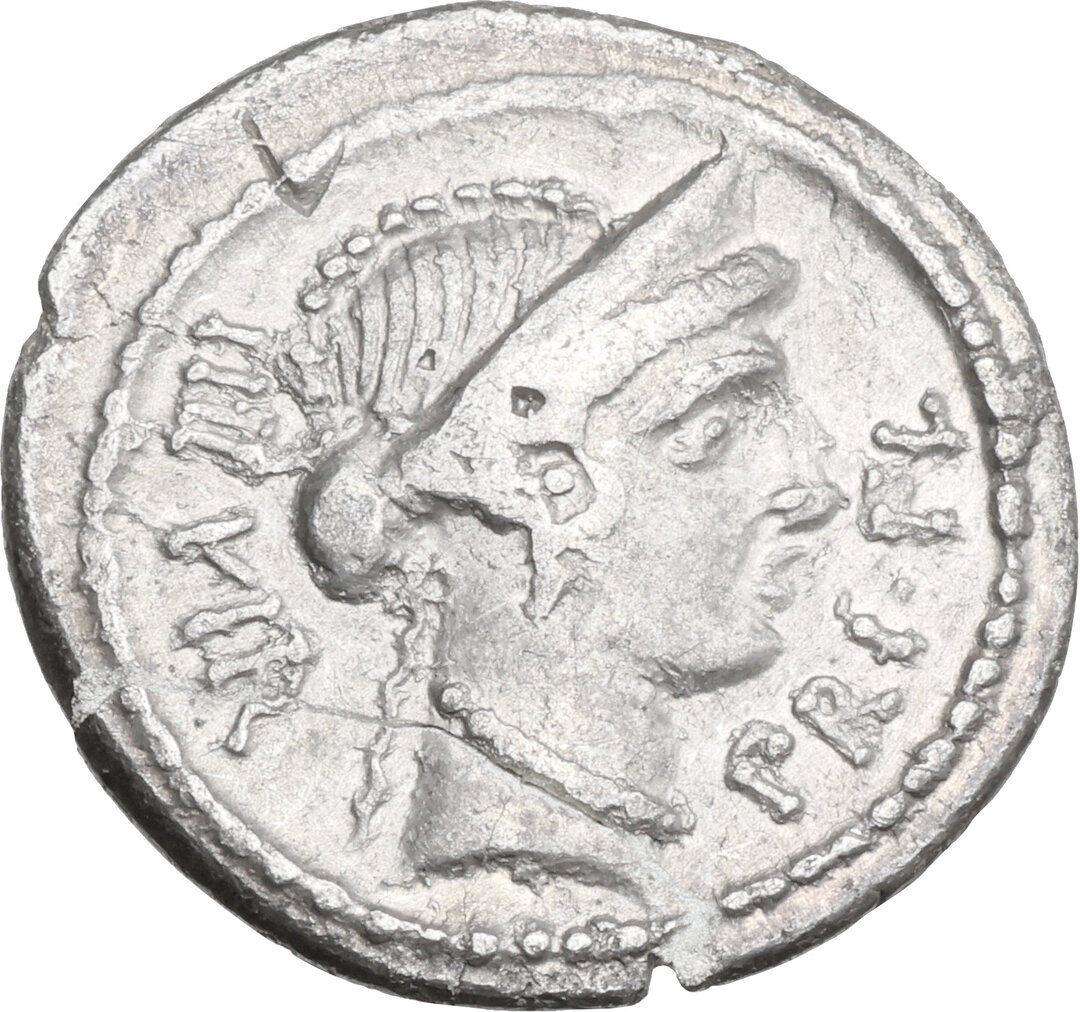 Dritto moneta