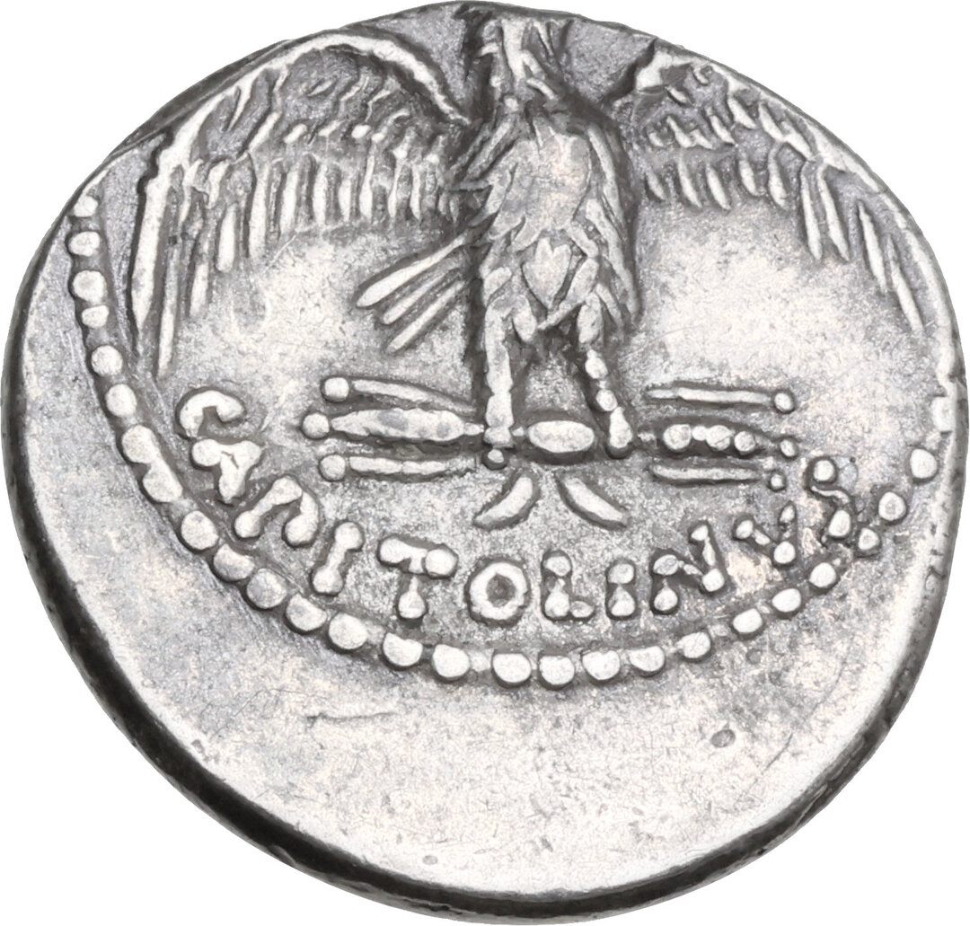 Dritto moneta