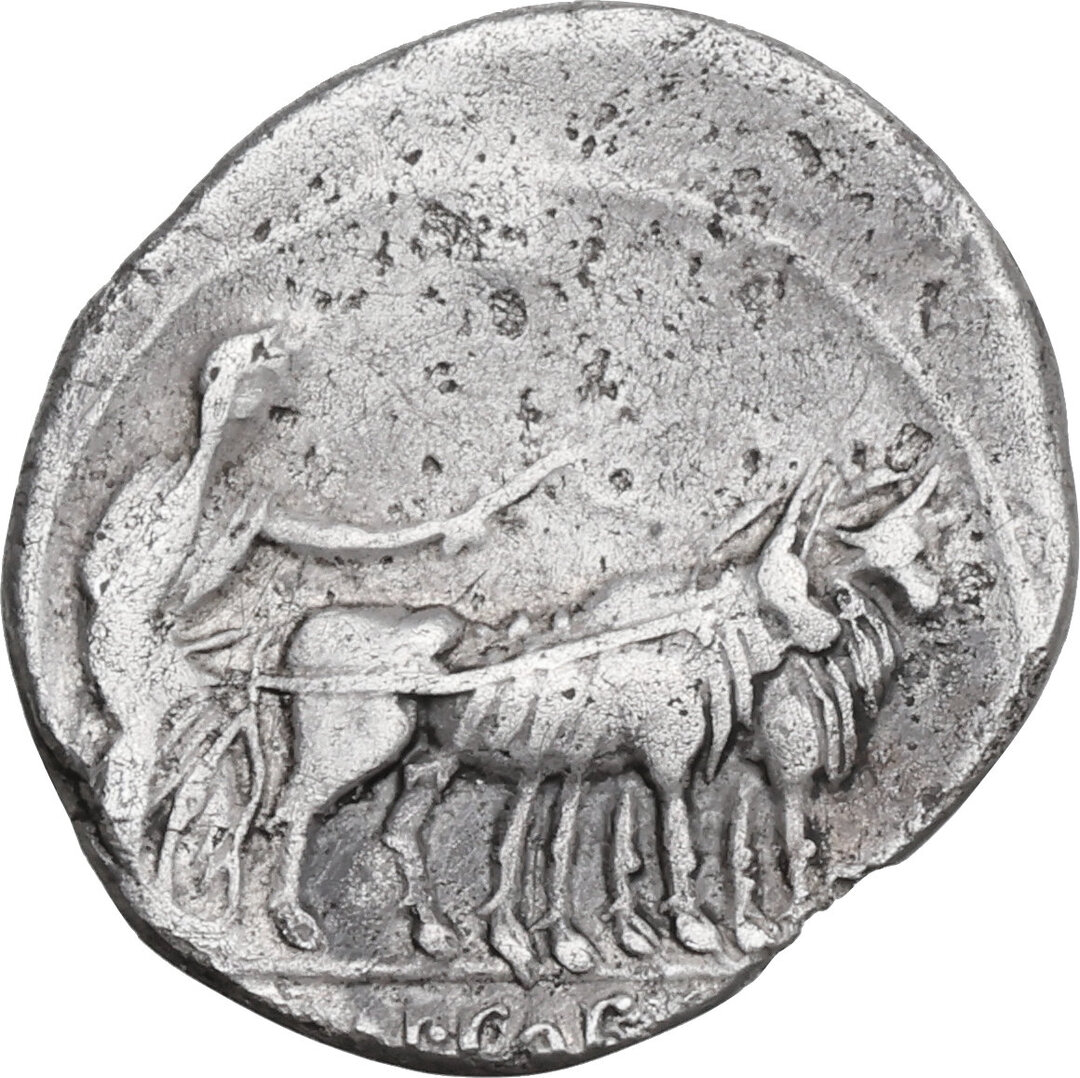 Rovescio moneta