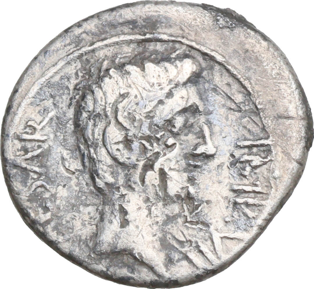 Dritto moneta