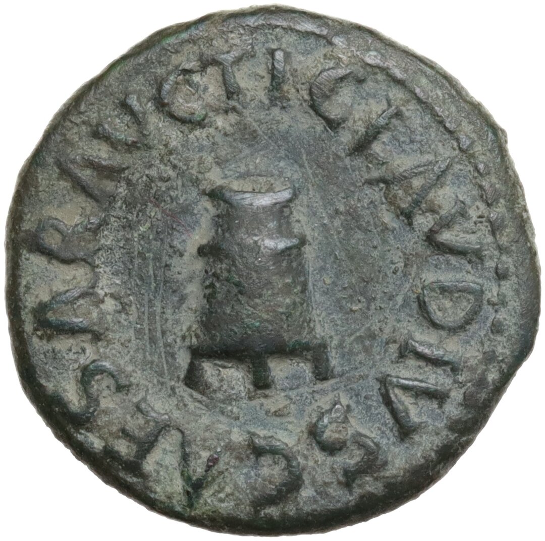 Dritto moneta