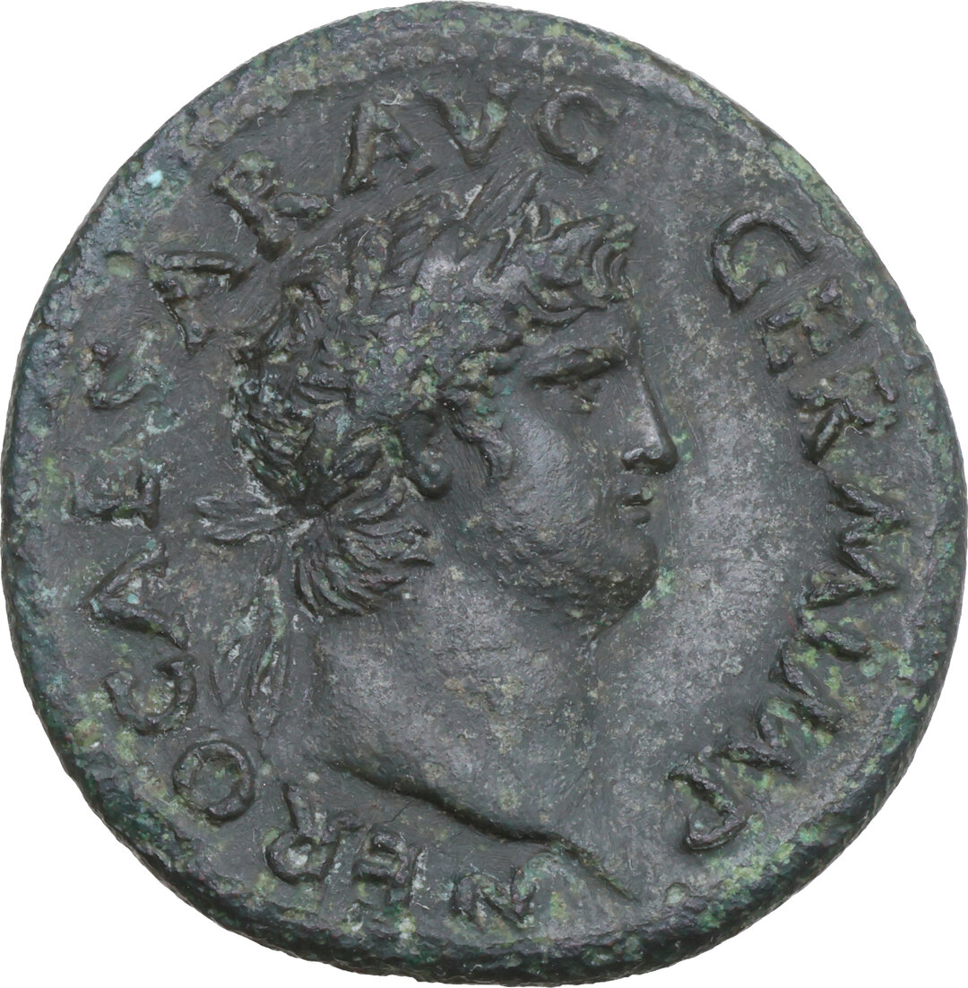 Dritto moneta
