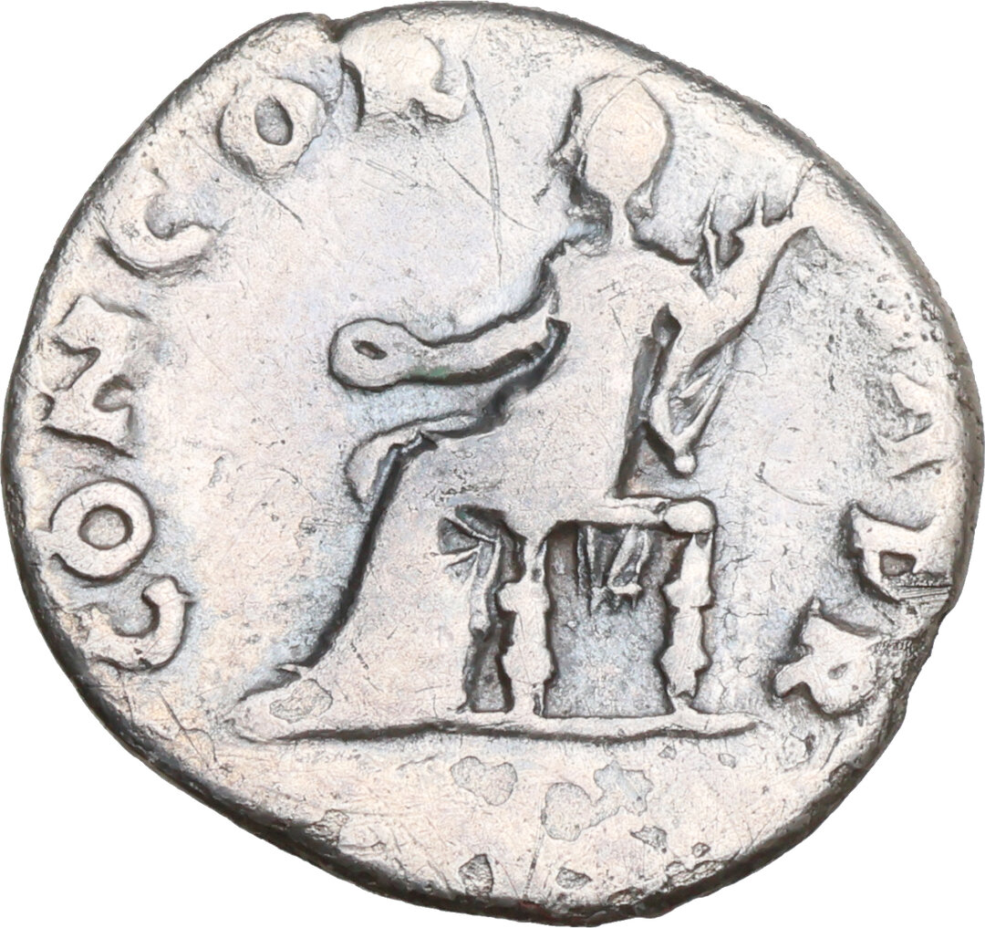 Rovescio moneta