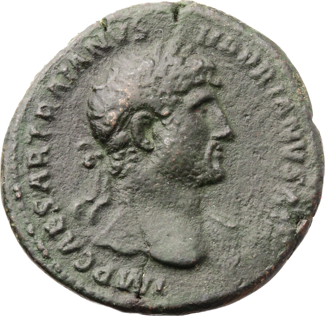 Dritto moneta