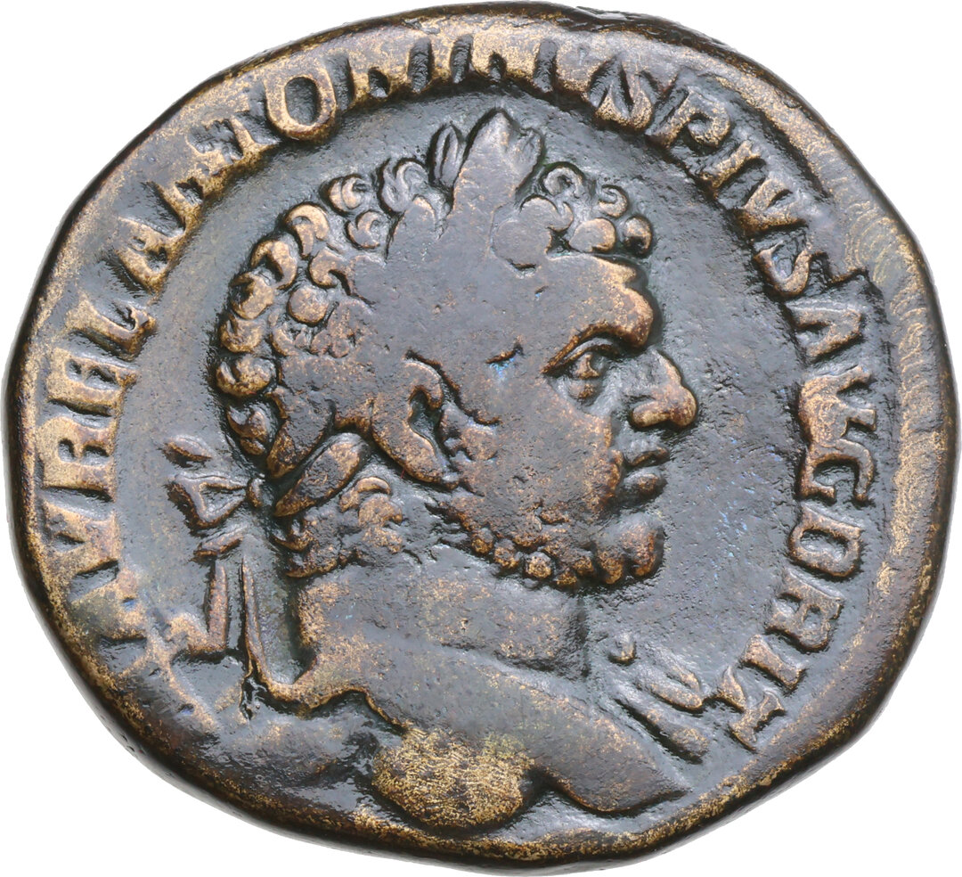 Dritto moneta