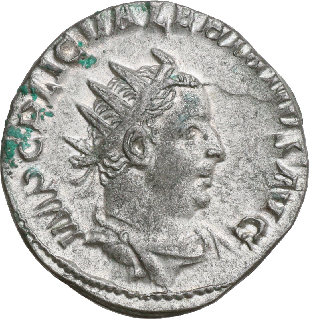 Dritto moneta