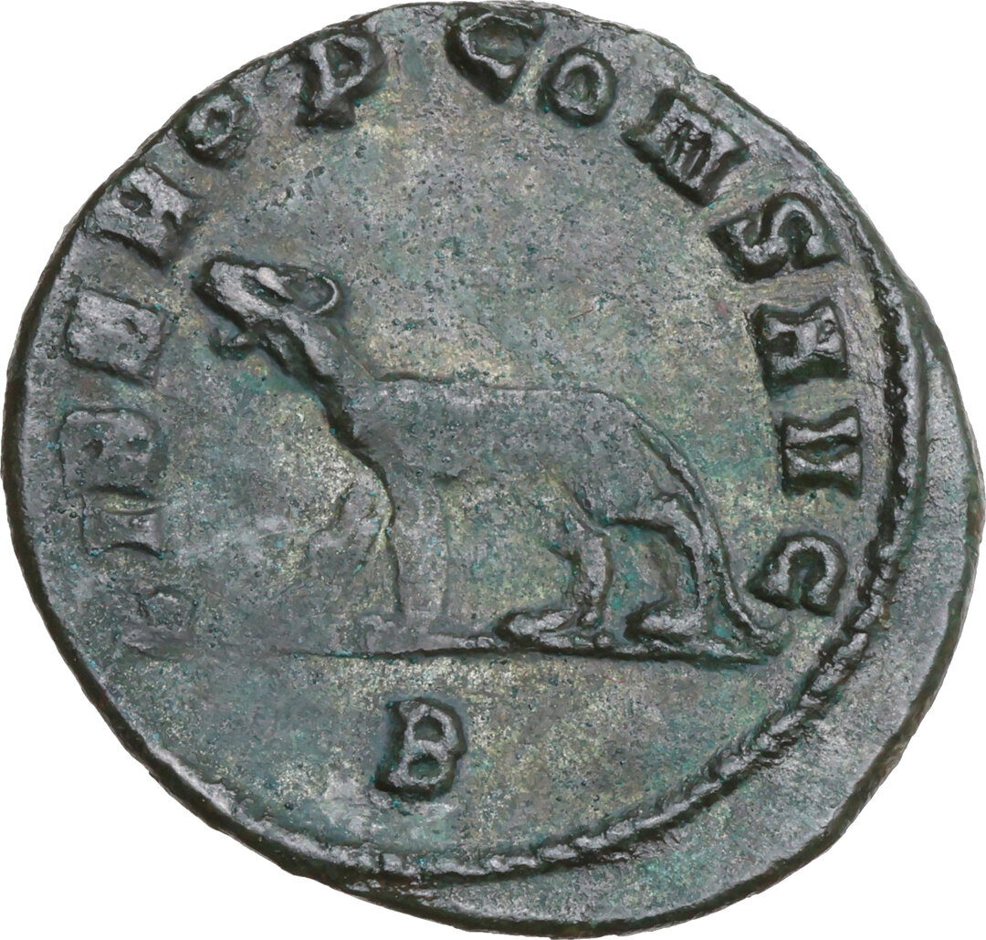 Rovescio moneta