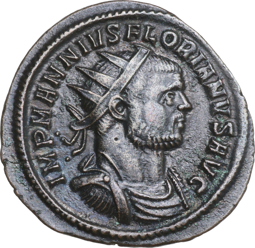 Dritto moneta