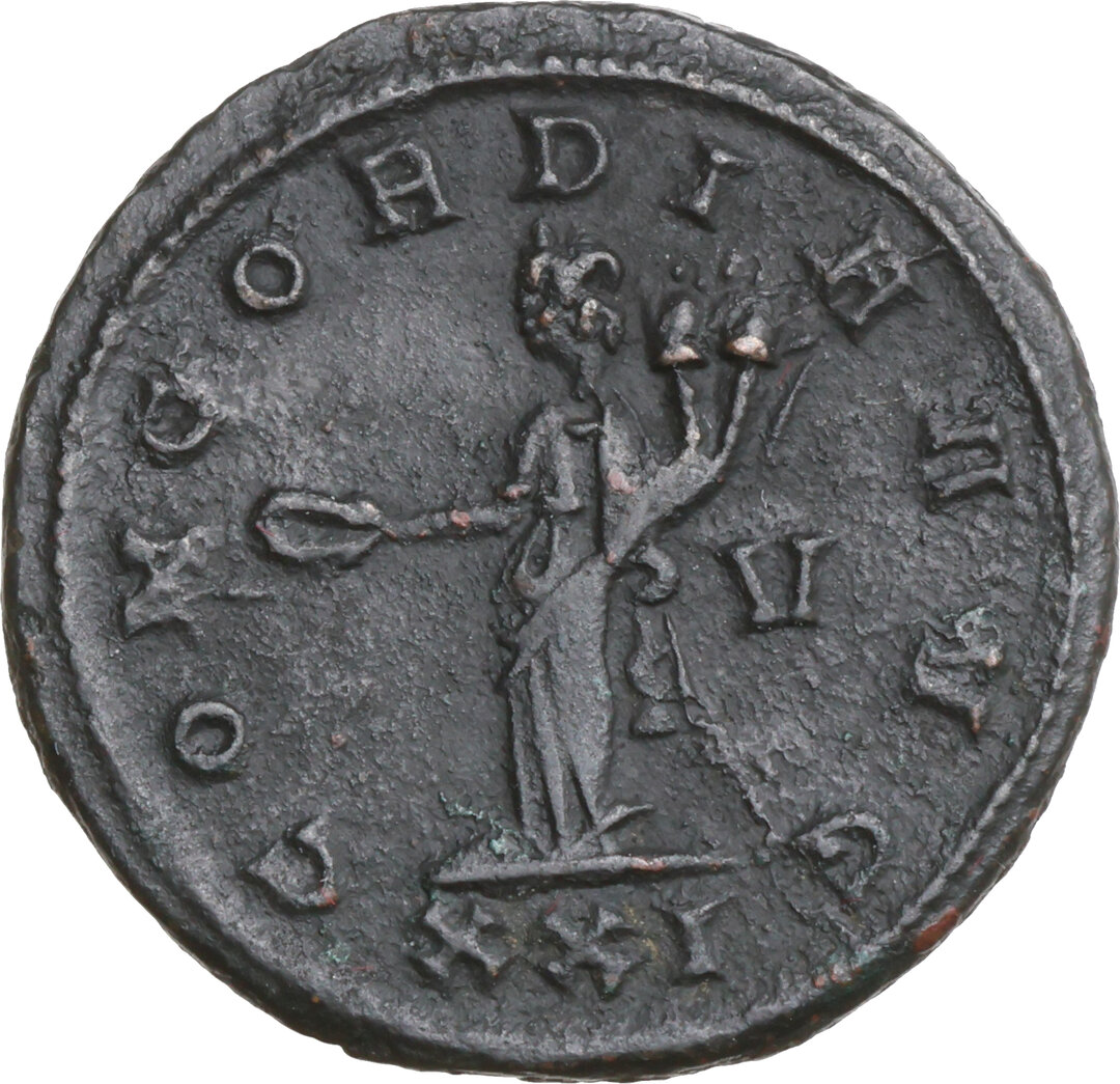 Rovescio moneta
