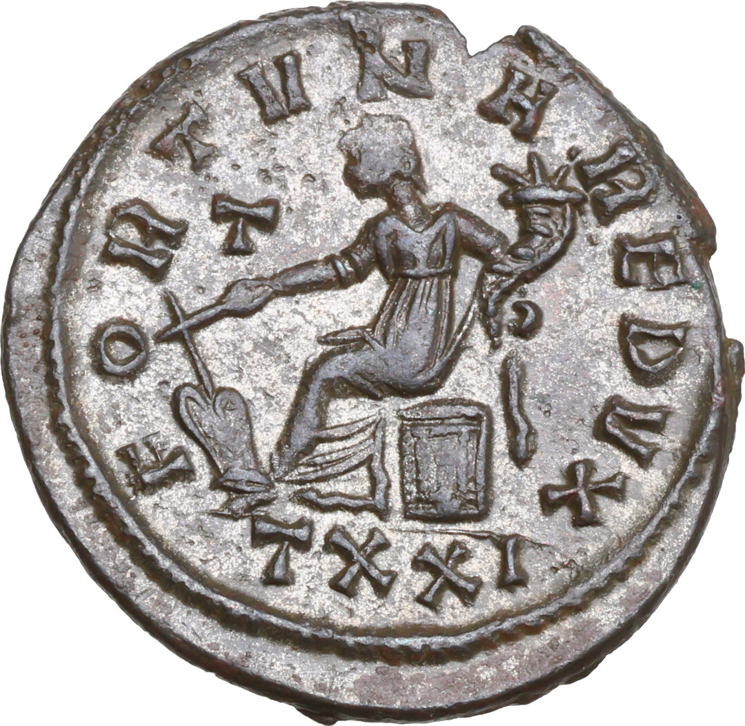 Rovescio moneta