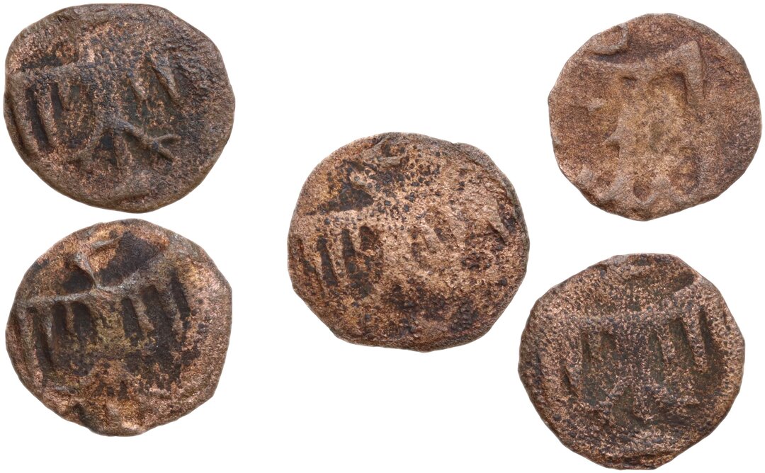 Dritto moneta
