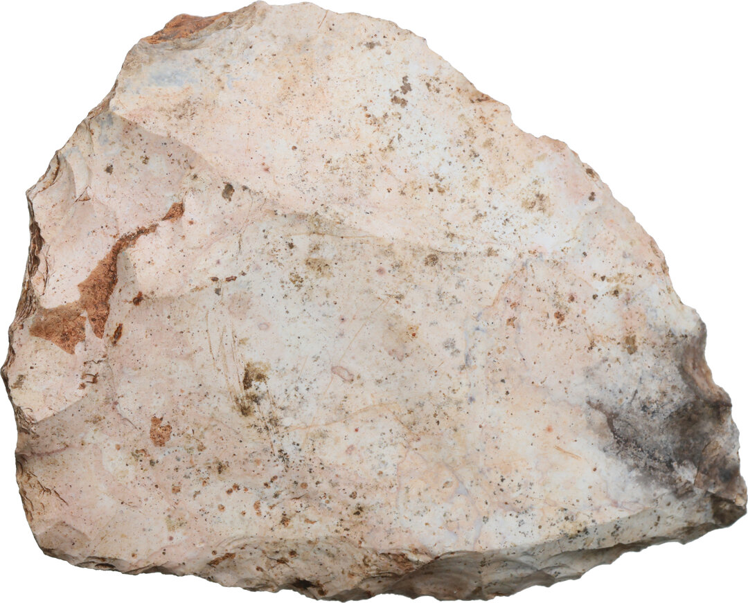 Dritto moneta