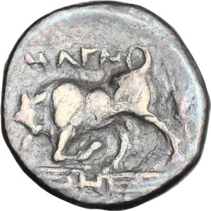 Reverse image