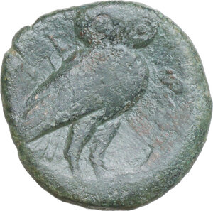 Reverse image