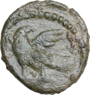 Reverse image