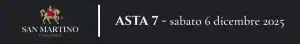 Banner San Martino Asta 7