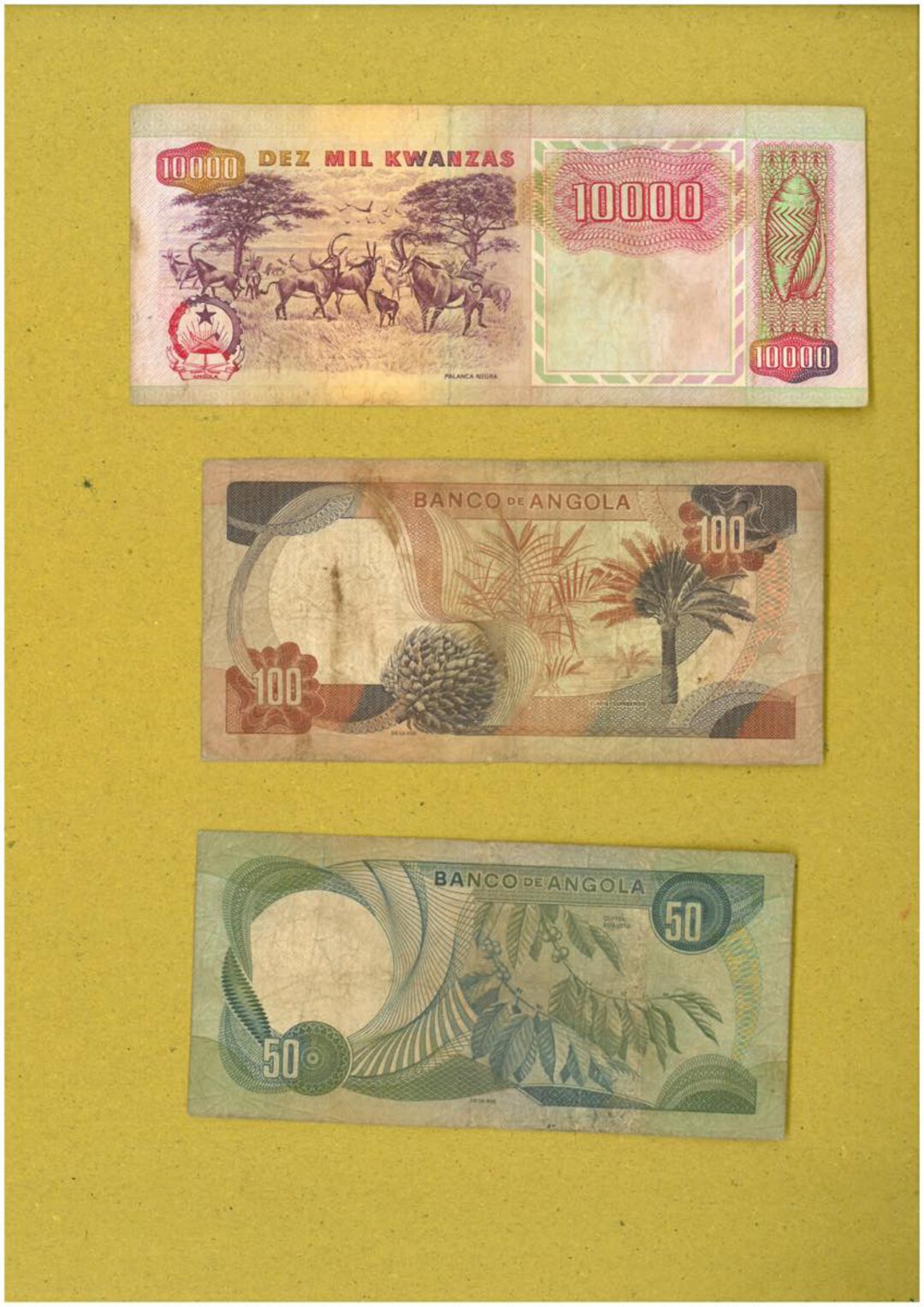 Immagine aggiuntiva 5