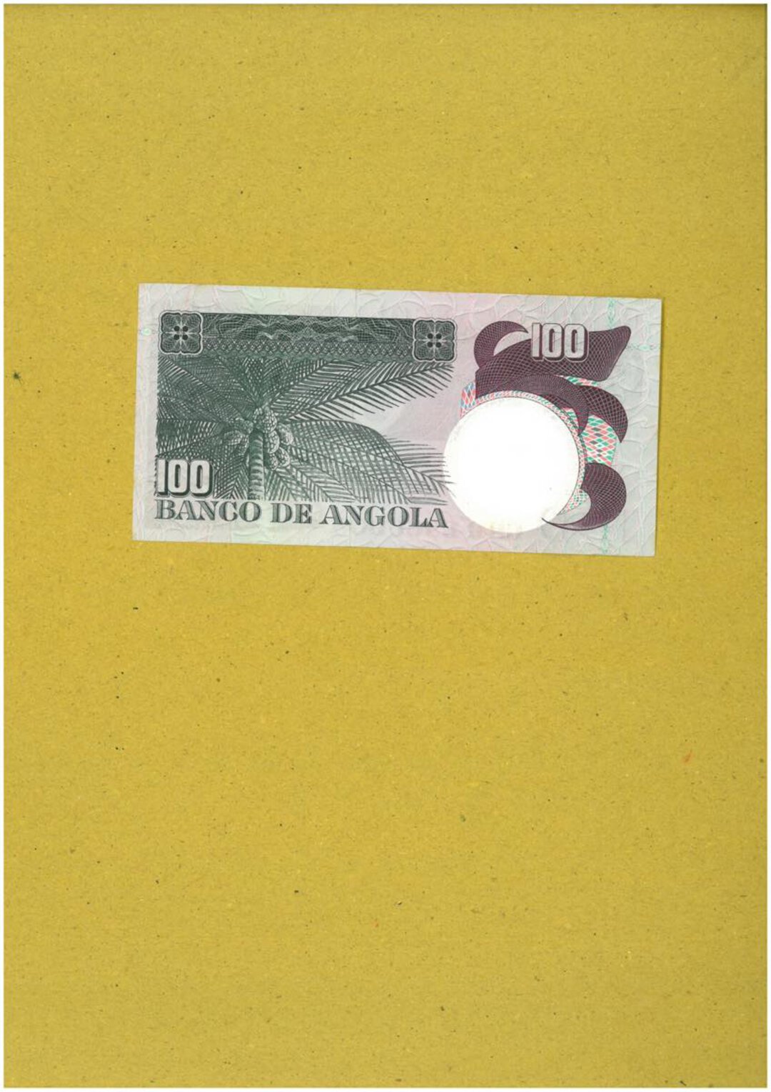 Immagine aggiuntiva 7