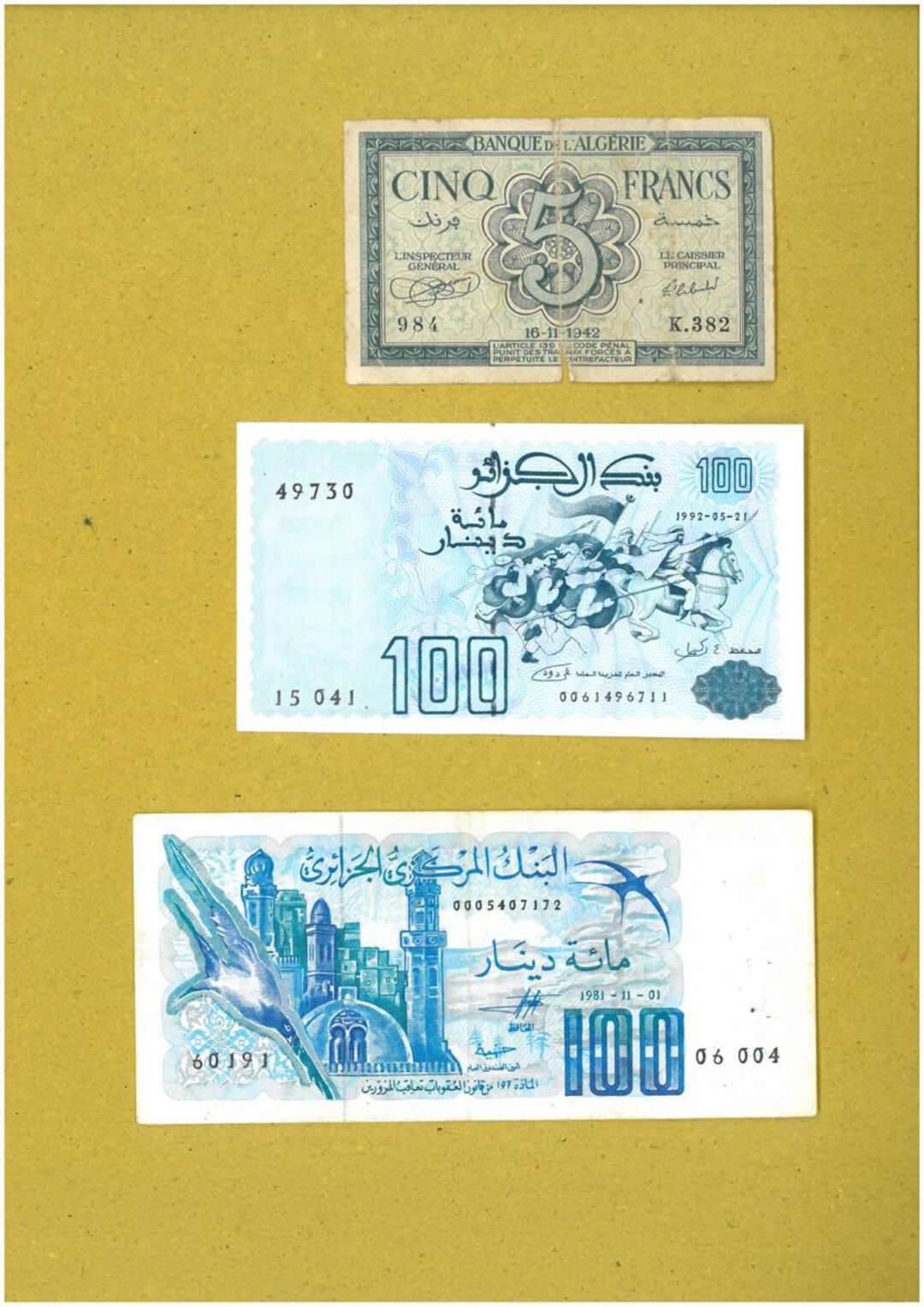 Immagine aggiuntiva 8