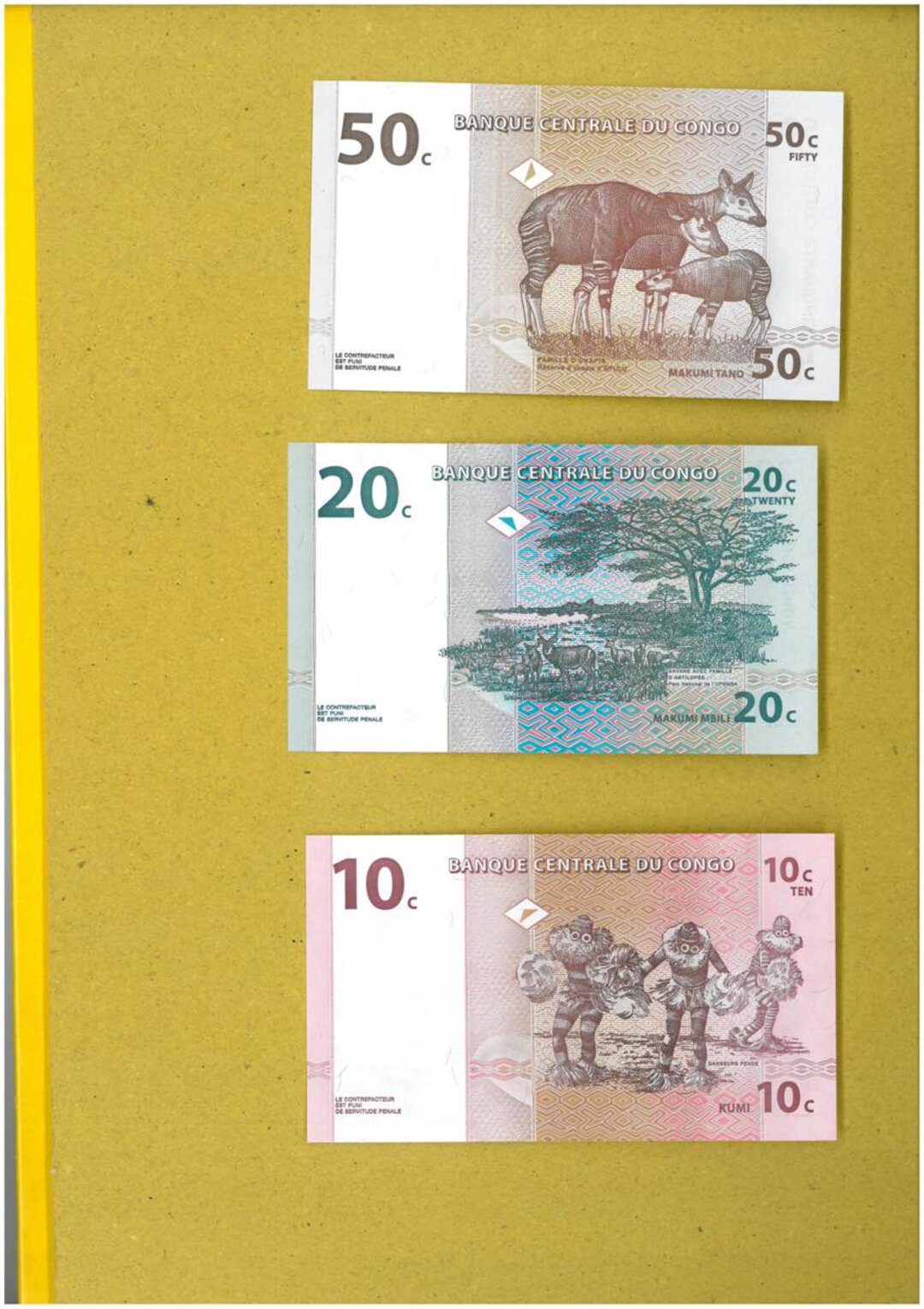 Immagine aggiuntiva 5