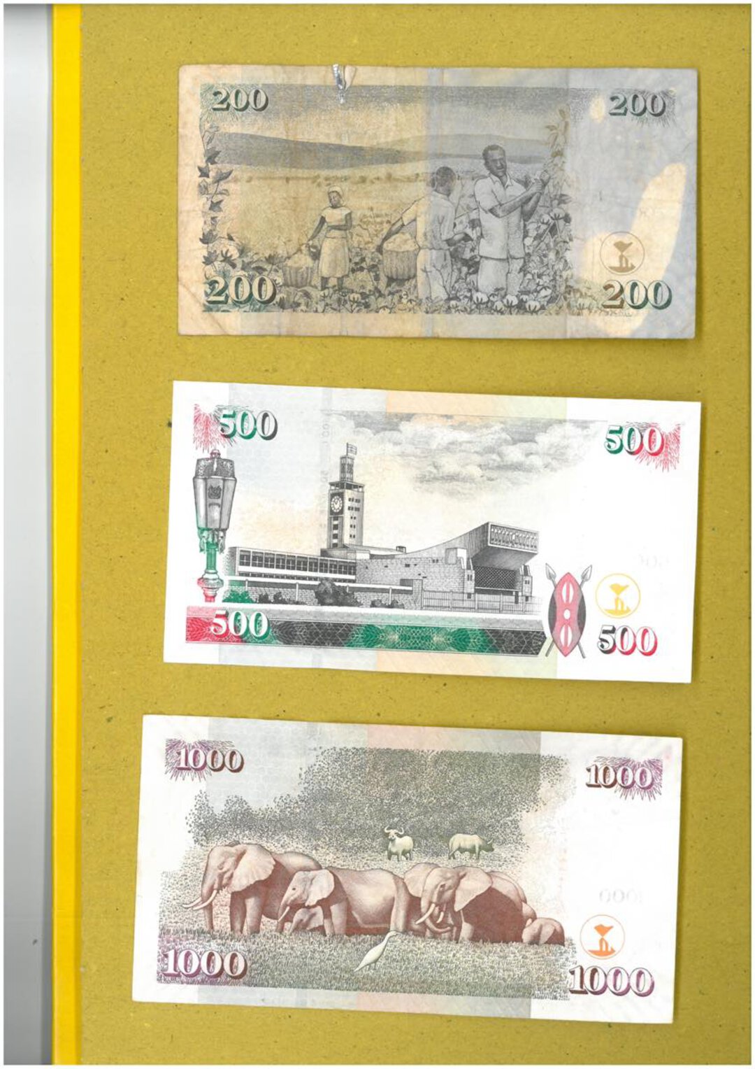 Immagine aggiuntiva 1