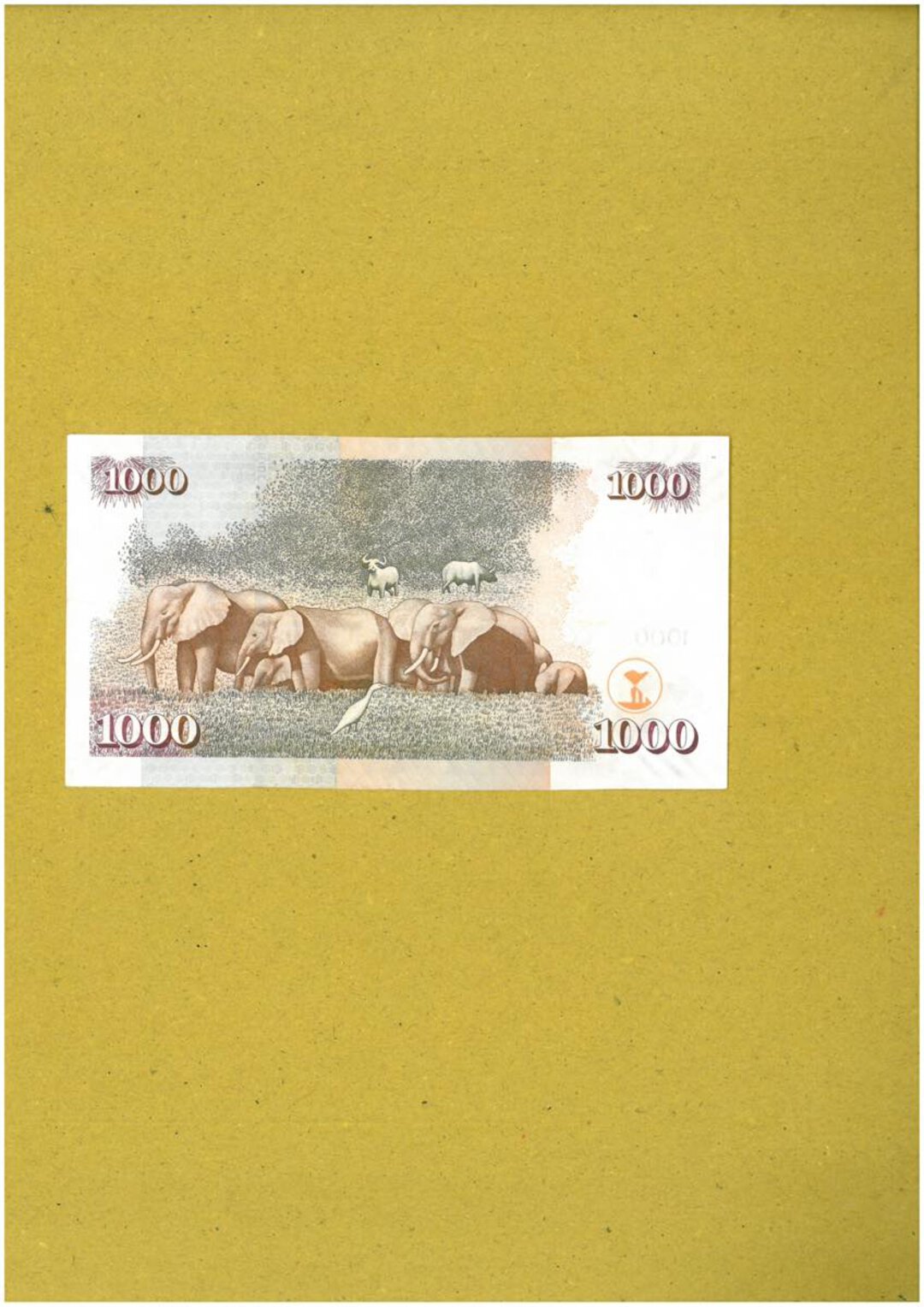 Immagine aggiuntiva 3