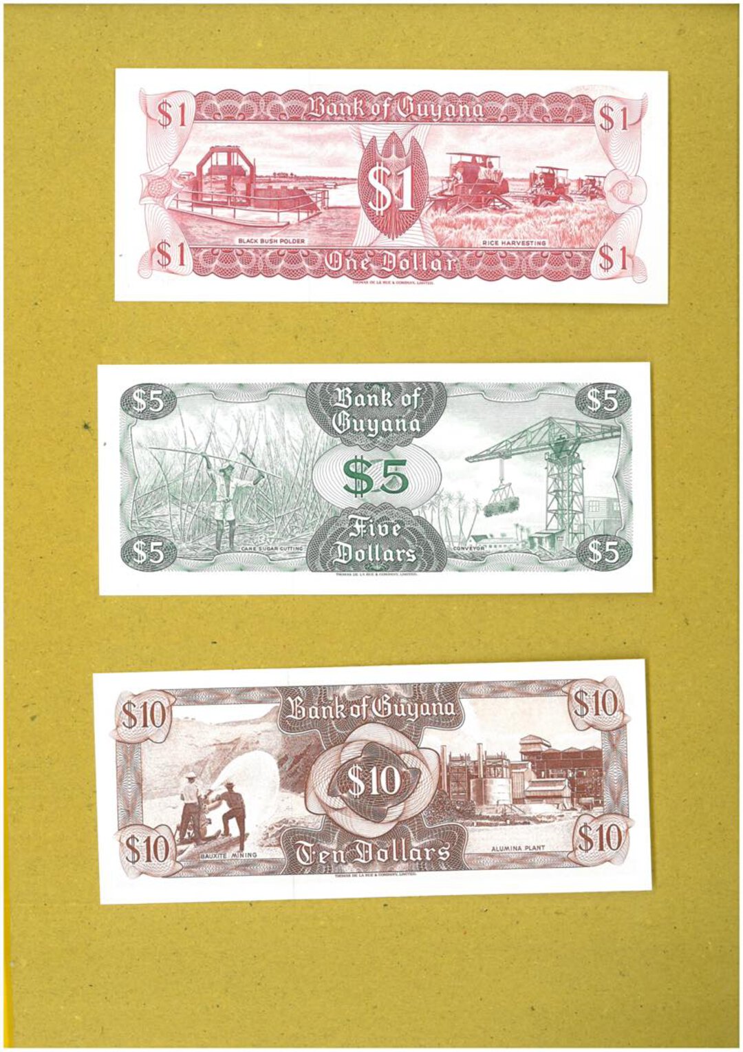 Immagine aggiuntiva 5