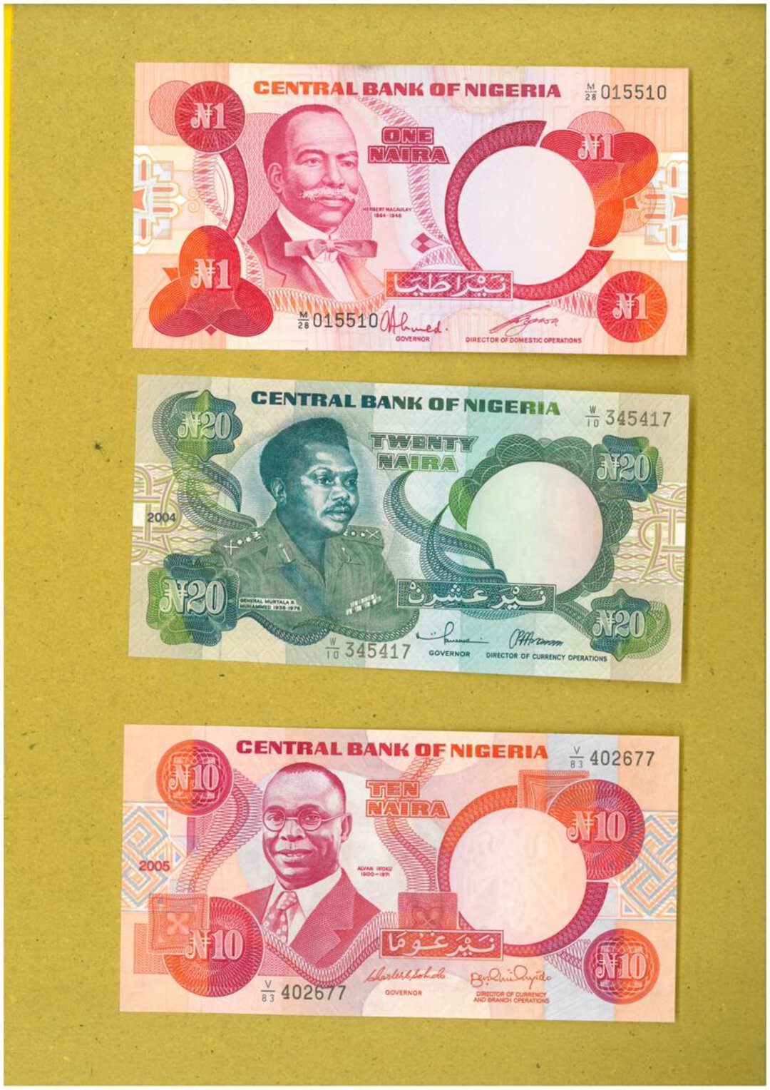 Immagine aggiuntiva 4