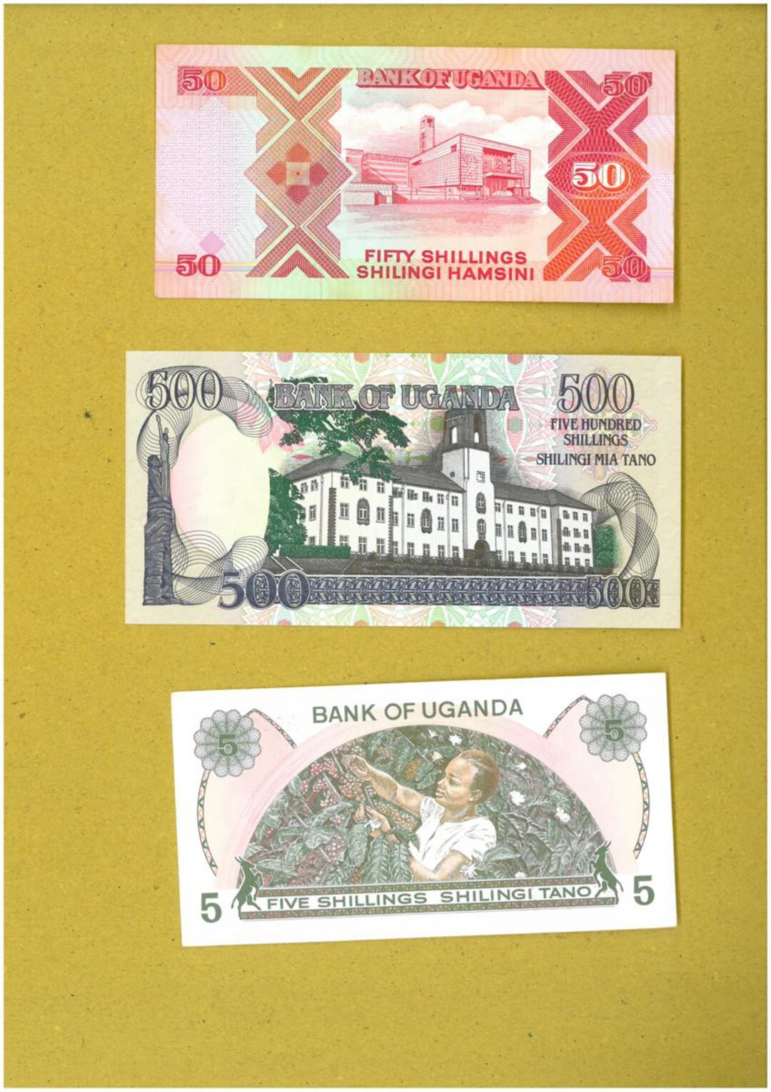 Immagine aggiuntiva 1