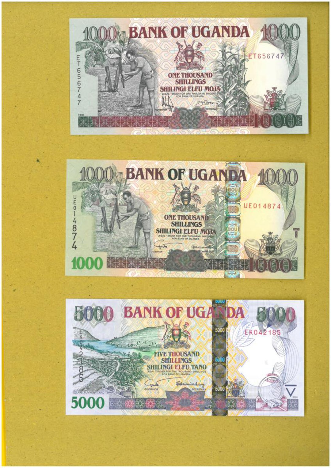 Immagine aggiuntiva 2