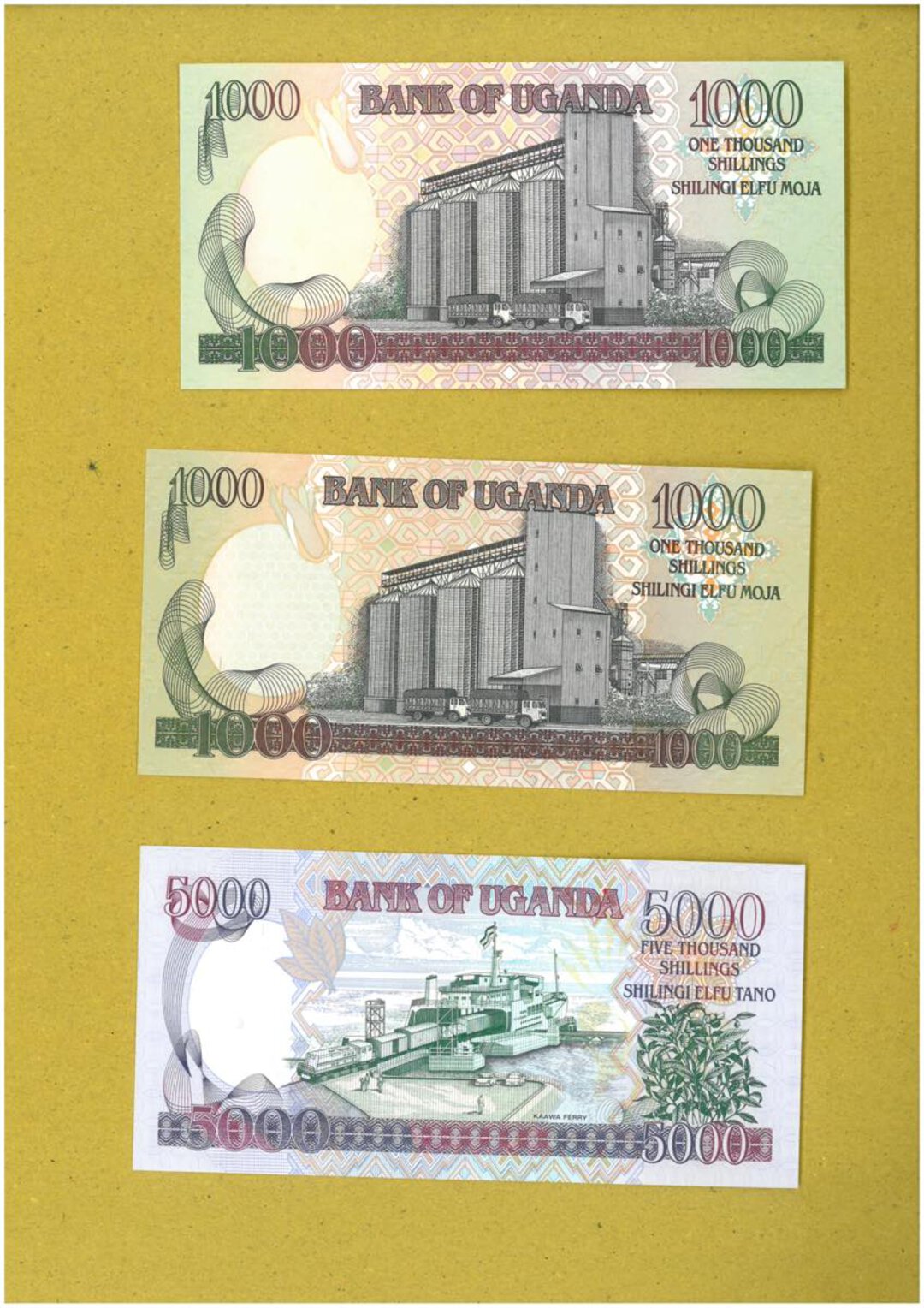 Immagine aggiuntiva 3